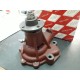 POMPA ACQUA IVECO OM LEONCINO TIGROTTO DAINO /KWP10043 -8807763-8514011