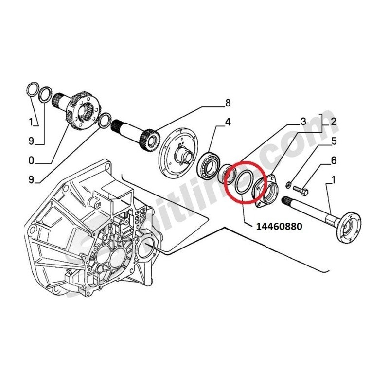 S-902857 SPUGNA AUTO OVALE